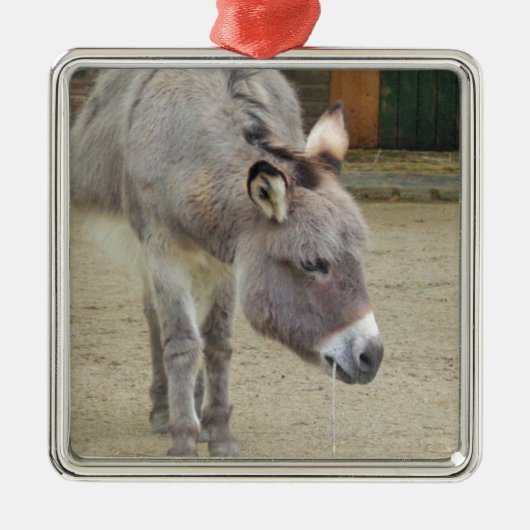 Sweet Donkey, Animal Gray, Horse Family Silbernes Ornament (Vorne)