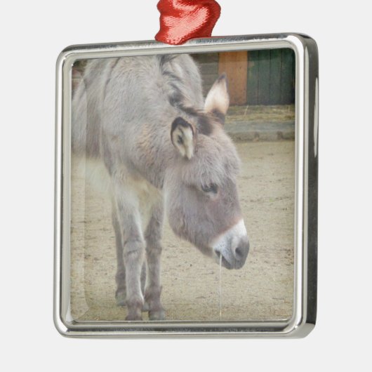 Sweet Donkey, Animal Gray, Horse Family Silbernes Ornament (Links)
