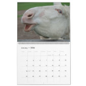 Sweet Donkeys das ganze Jahr Kalender (Jan 2026)