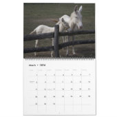 Sweet Donkeys das ganze Jahr Kalender (Mär 2026)