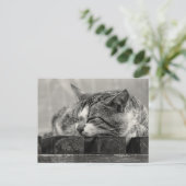 Sweet Dream Postkarte (Stehend Vorderseite)