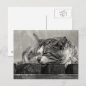 Sweet Dream Postkarte (Vorne/Hinten)