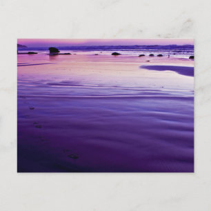 Sweet Dreams - Bandon, Oregon Postkarte
