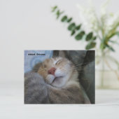 sweet dreams cat taking her nap postcard postkarte (Stehend Vorderseite)