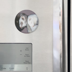 Sweet Dreams Ferrets Magnet