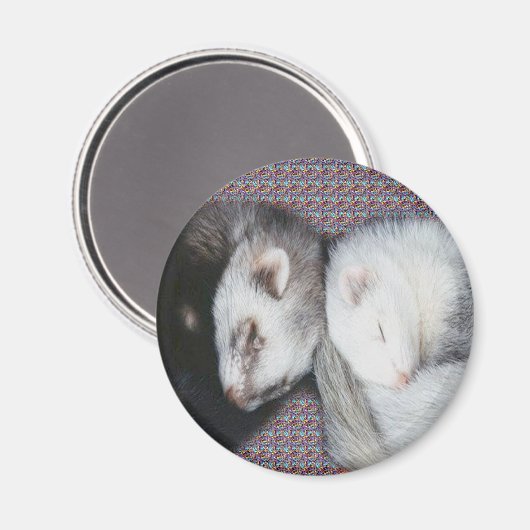 Sweet Dreams Ferrets Magnet (Vorderseite/Rückseite)