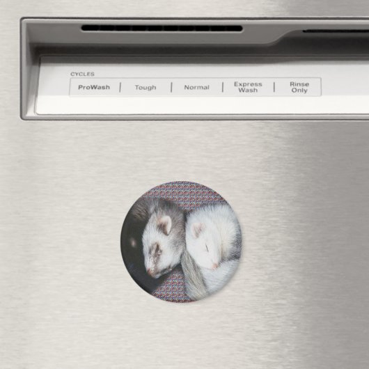 Sweet Dreams Ferrets Magnet (In Situ (Geschirrspüler))