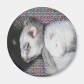 Sweet Dreams Ferrets Magnet (Vorne)