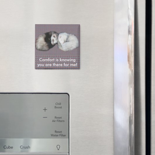 Sweet Dreams Ferrets Magnet (In Situ (Kühlschrank))