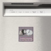 Sweet Dreams Ferrets Magnet (In Situ (Geschirrspüler))