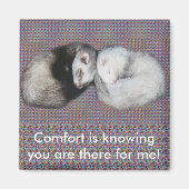 Sweet Dreams Ferrets Magnet (Vorne)
