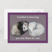Sweet Dreams Ferrets Postkarte (Vorne/Hinten)