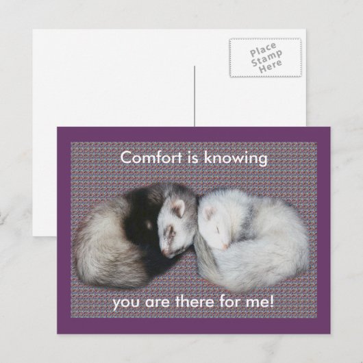 Sweet Dreams Ferrets Postkarte (Vorne/Hinten)