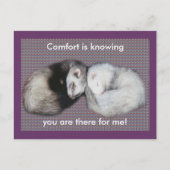 Sweet Dreams Ferrets Postkarte (Vorderseite)