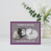 Sweet Dreams Ferrets Postkarte (Stehend Vorderseite)
