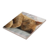 Sweet Dreams Fliese (Seite)