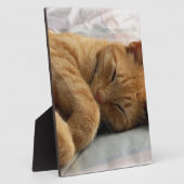 Sweet Dreams Fotoplatte (Seite)