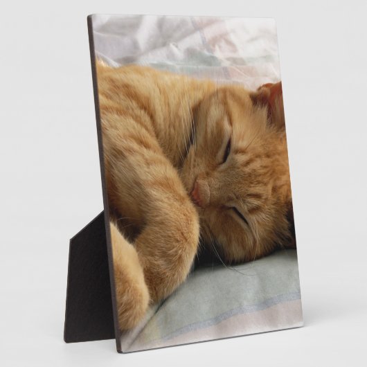 Sweet Dreams Fotoplatte (Seite)