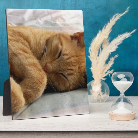 Sweet Dreams Fotoplatte (Seite)