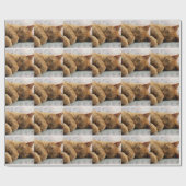 Sweet Dreams Geschenkpapier (Flach)