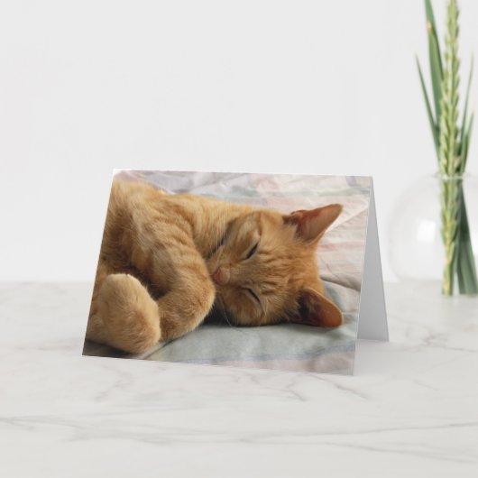 Sweet Dreams Grußkarte Karte (Vorderseite)