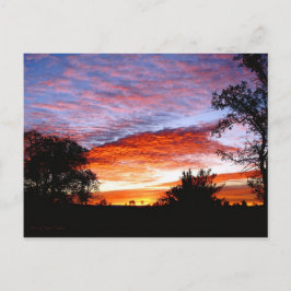 Sweet Dreams Kodi Postkarte