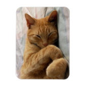 Sweet Dreams Magnet (Vertikal)