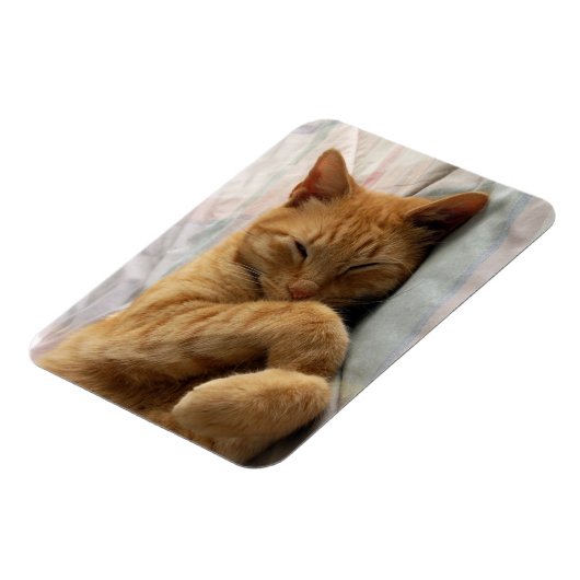 Sweet Dreams Magnet (Linke Seite)