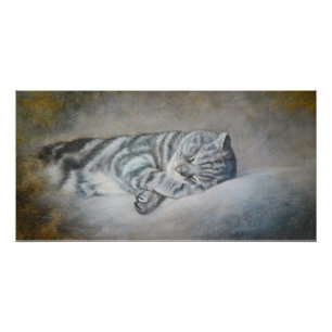 Sweet Dreams of a British Shorthair Poster