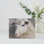 Sweet Dreams Postcard Postkarte (Stehend Vorderseite)