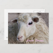 Sweet Dreams Postcard Postkarte (Vorne/Hinten)