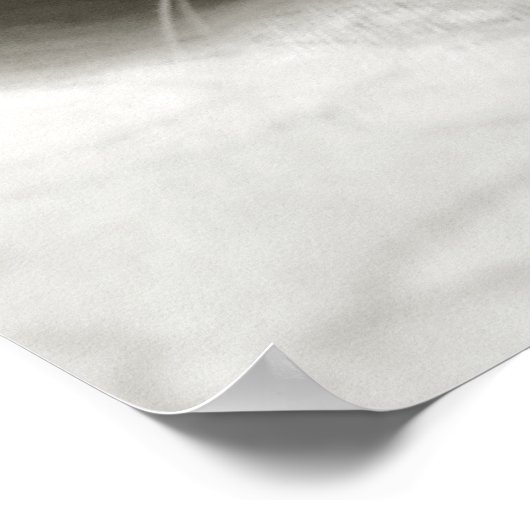 Sweet Dreams - Poster (Ecke)