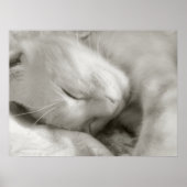 Sweet Dreams - Poster (Vorne)