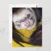 Sweet Dreams Postkarte (Vorne/Hinten)