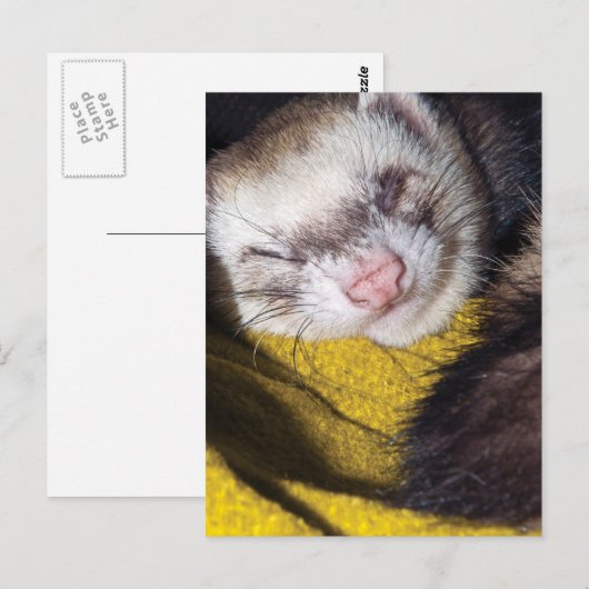 Sweet Dreams Postkarte (Vorne/Hinten)