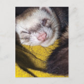 Sweet Dreams Postkarte (Vorderseite)