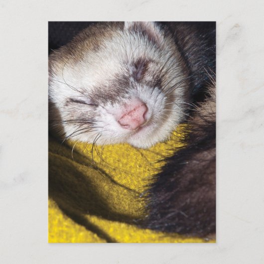 Sweet Dreams Postkarte (Vorderseite)