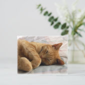 Sweet Dreams Postkarte (Stehend Vorderseite)