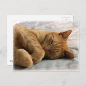 Sweet Dreams Postkarte (Vorne/Hinten)