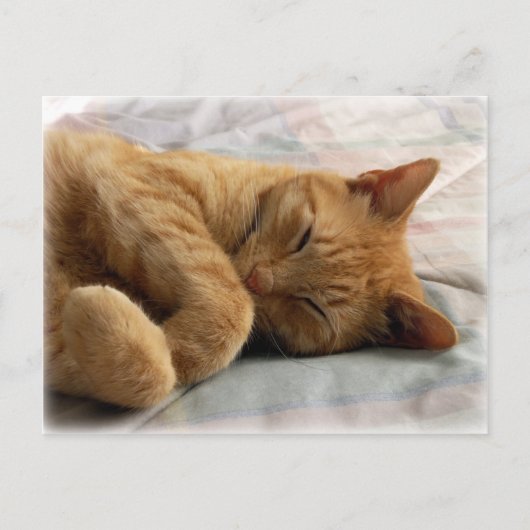 Sweet Dreams Postkarte (Vorderseite)