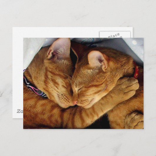 Sweet Dreams Postkarte (Vorne/Hinten)