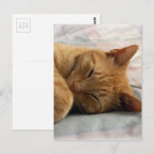 Sweet Dreams Postkarte (Vorne/Hinten)