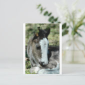 Sweet Dreams Postkarte (Stehend Vorderseite)