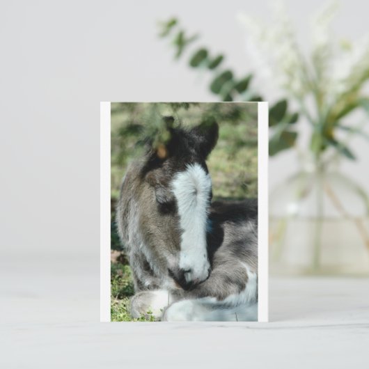 Sweet Dreams Postkarte (Stehend Vorderseite)