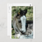 Sweet Dreams Postkarte (Vorne/Hinten)