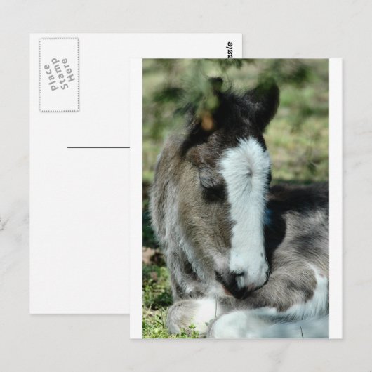 Sweet Dreams Postkarte (Vorne/Hinten)