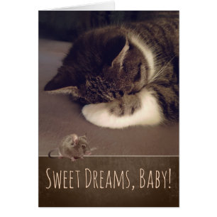 Sweet Dreams Sleeping Kitty (Text anpassbar)