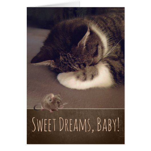 Sweet Dreams Sleeping Kitty (Text anpassbar) (Vorne)