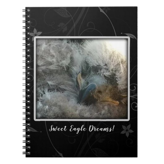 Sweet Eagle Dreams Notizblock (Vorderseite)