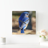 Sweet Eastern Bluebird Quadratische Wanduhr (Zuhause)